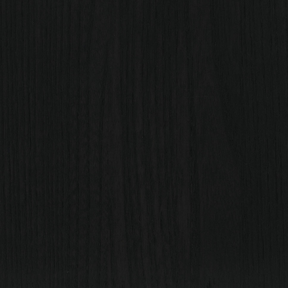 Black Elm Black Elm
