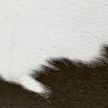 Poliform_finiture_pelli_hairy_BIANCO_NERO 350x350 Poliform_finiture_pelli_hairy_BIANCO_NERO 350x350