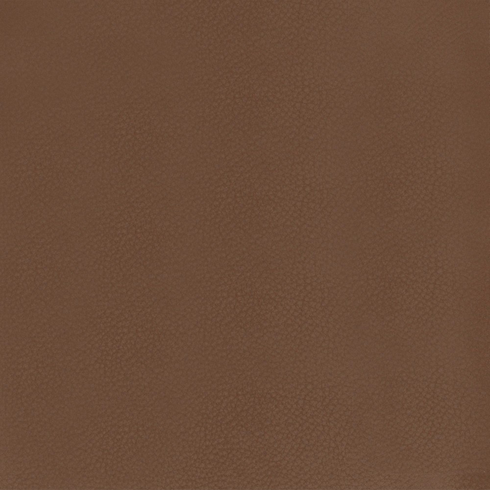 03 Cervo