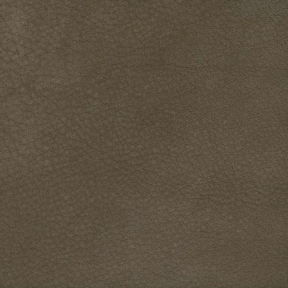 07 Camoscio