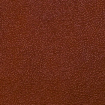 10 Terracotta