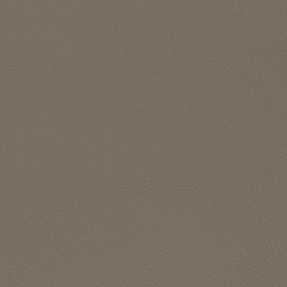 02 Mastice