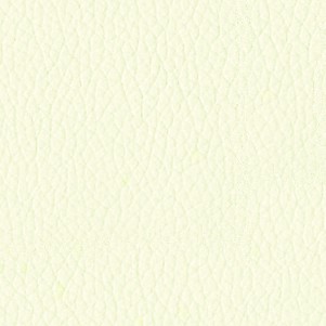 5000 Bianco