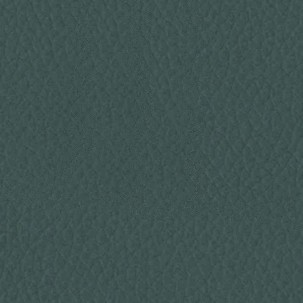 5428 Petrolio