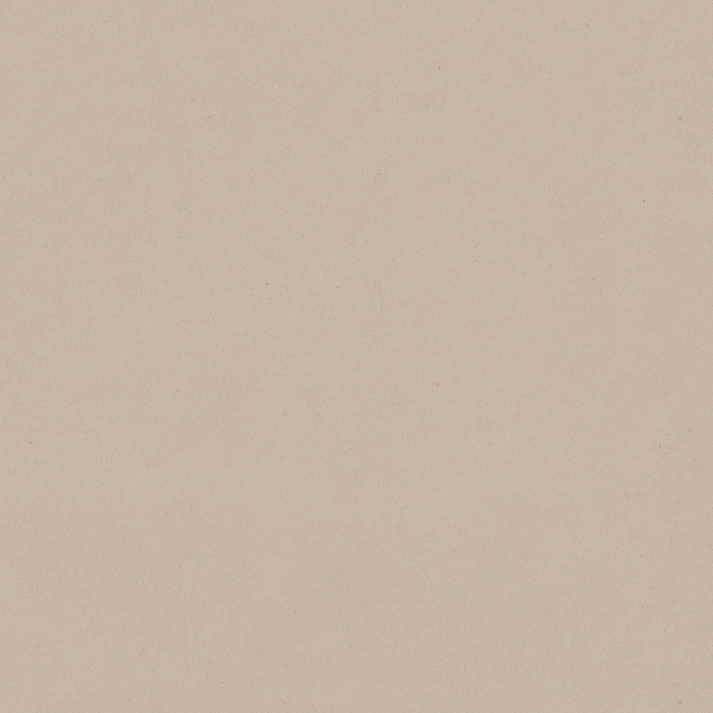 01 Avorio