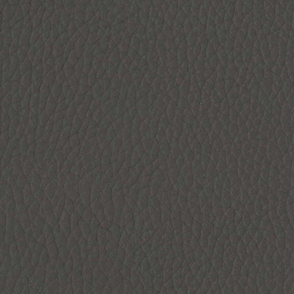 01 Elefante
