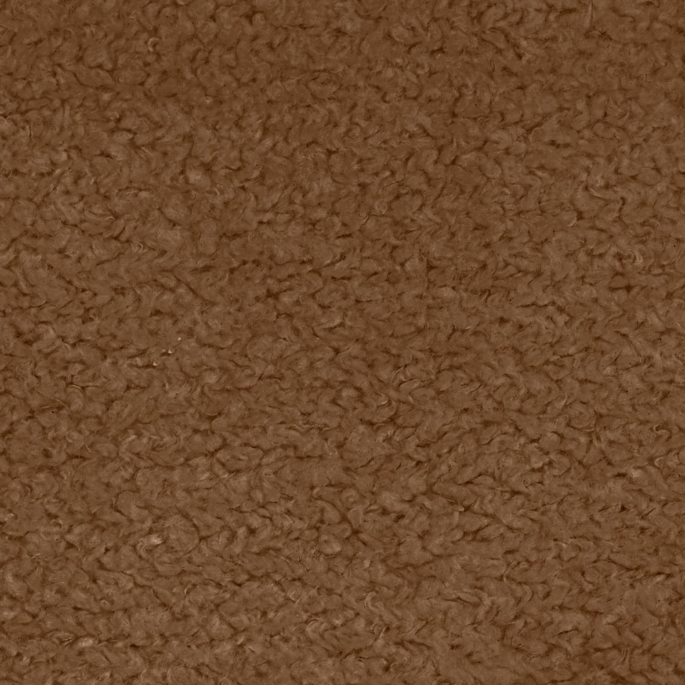 03 Cammello