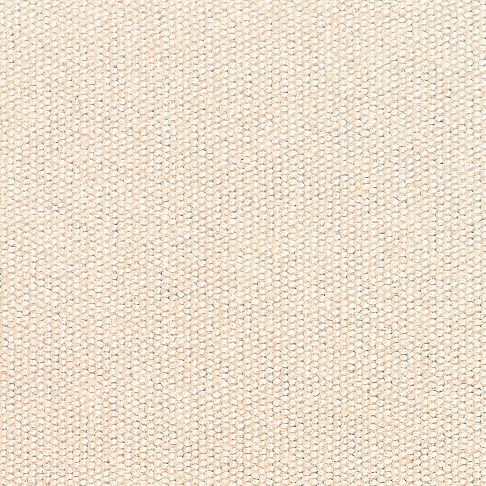 01 Avorio
