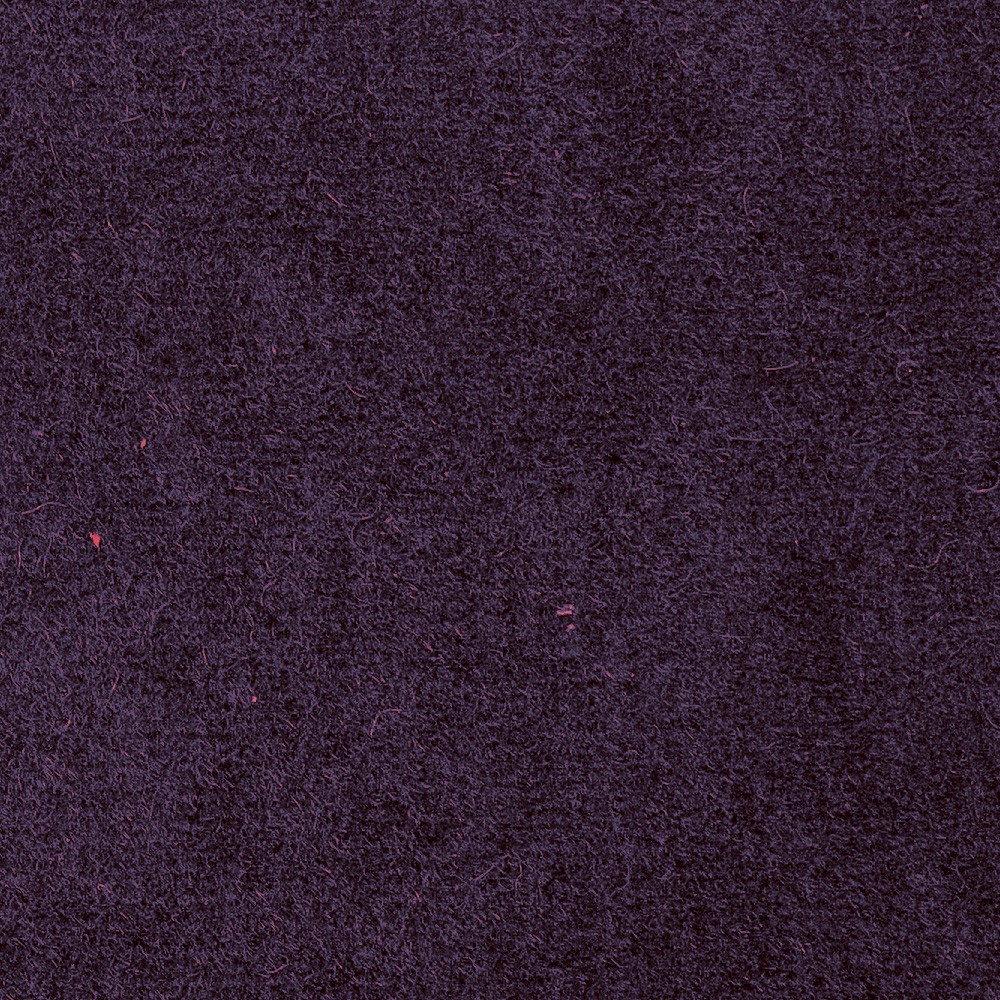 09 Viola