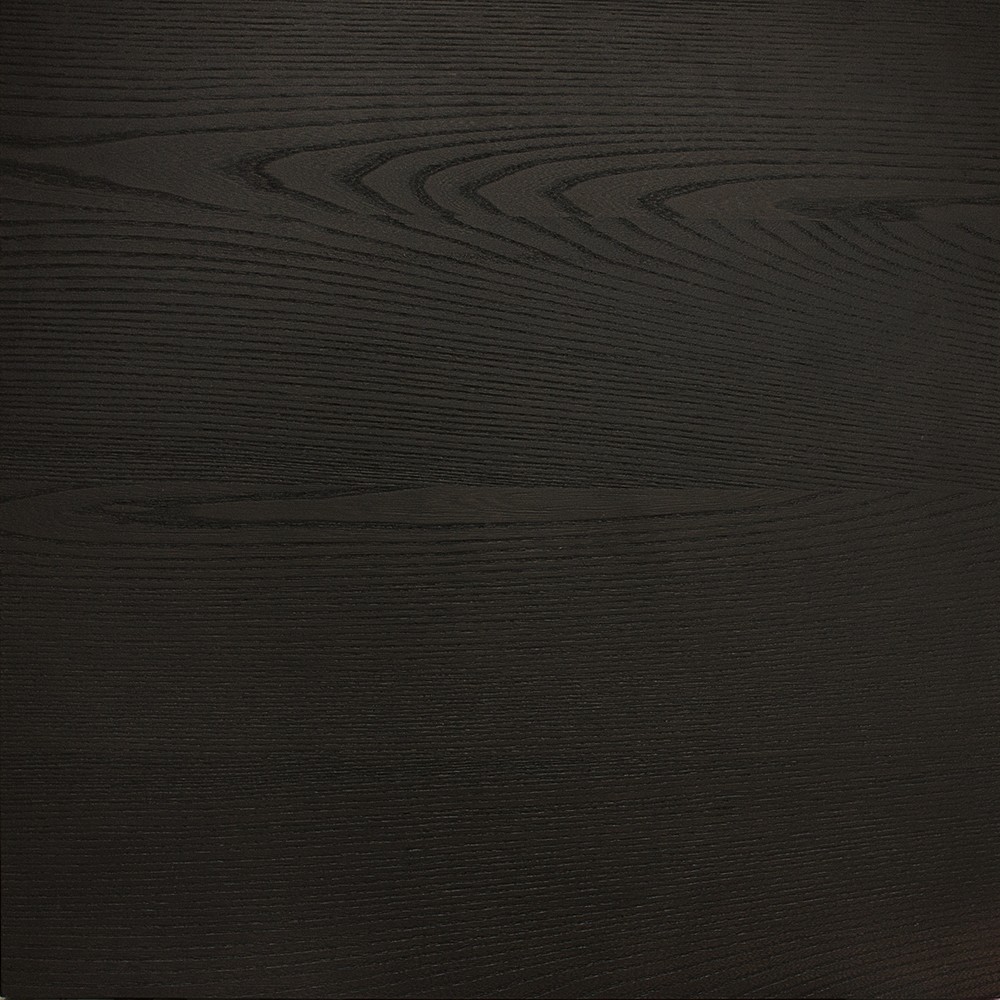 Black Elm Black Elm