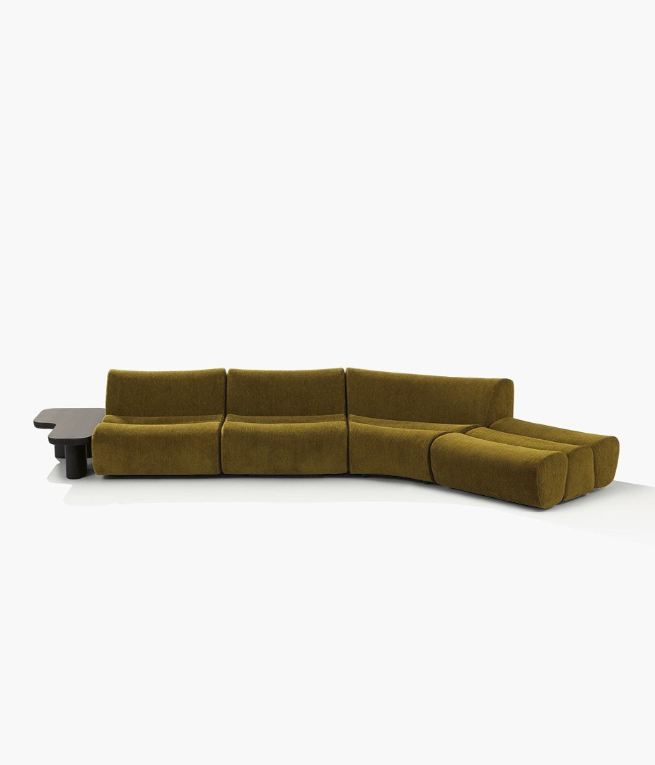 Ernest sofa with removable cover in fabric Shedir 06 oliva, end coffee table in black elm.