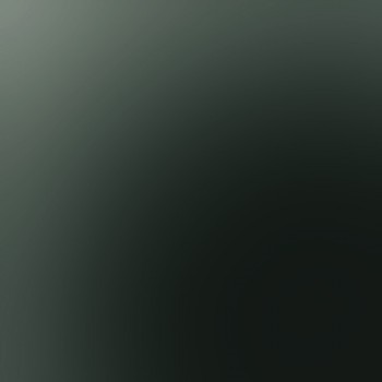 Poliform_finiture_vetro_riflettente_5059_FUME 350x350