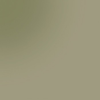 4051 Бронзовый