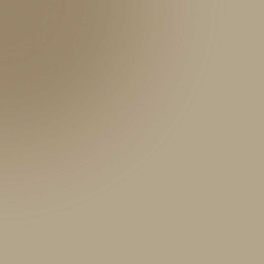 3051 Bronzed
