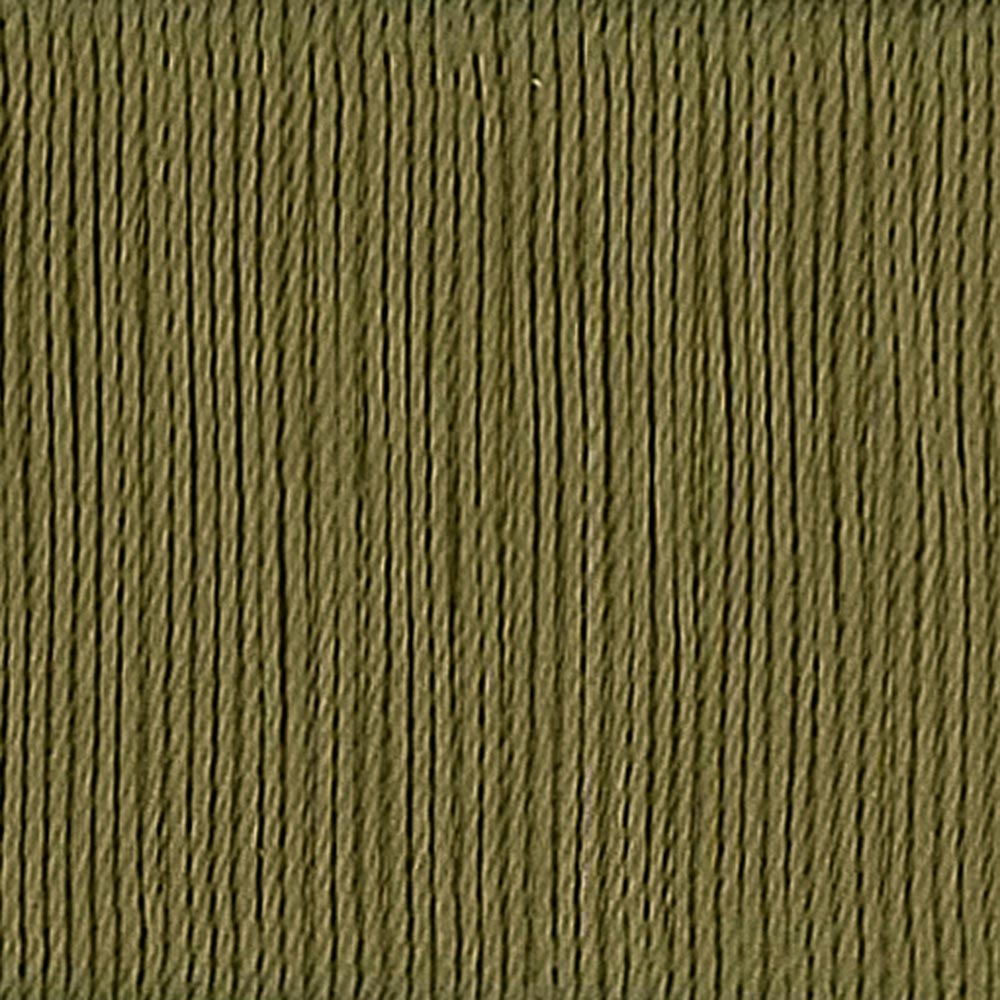 Oliva